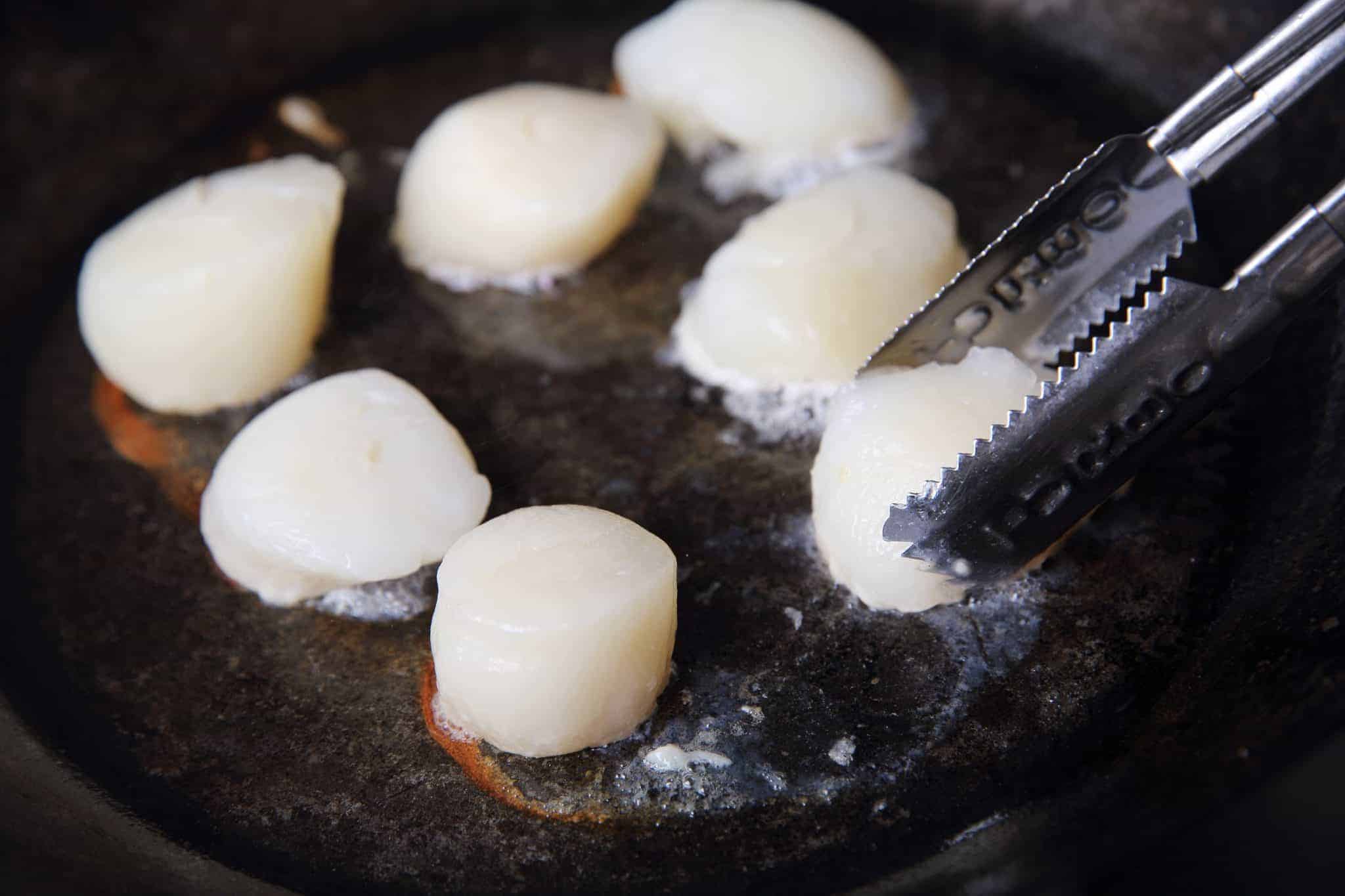 searing scallops 