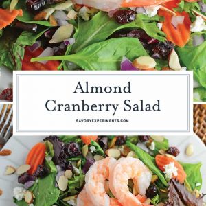 This Almond Cranberry Salad with Dijon Vinaigrette is a quick yet tasty meal solution! Throw it together for a healthy quick dinner or lunch! #summersalads #cranberrysalad #easysaladrecipes www.savoryexperiments.com