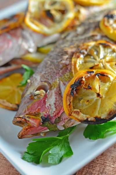 Close up of grilled red snapped on a plate