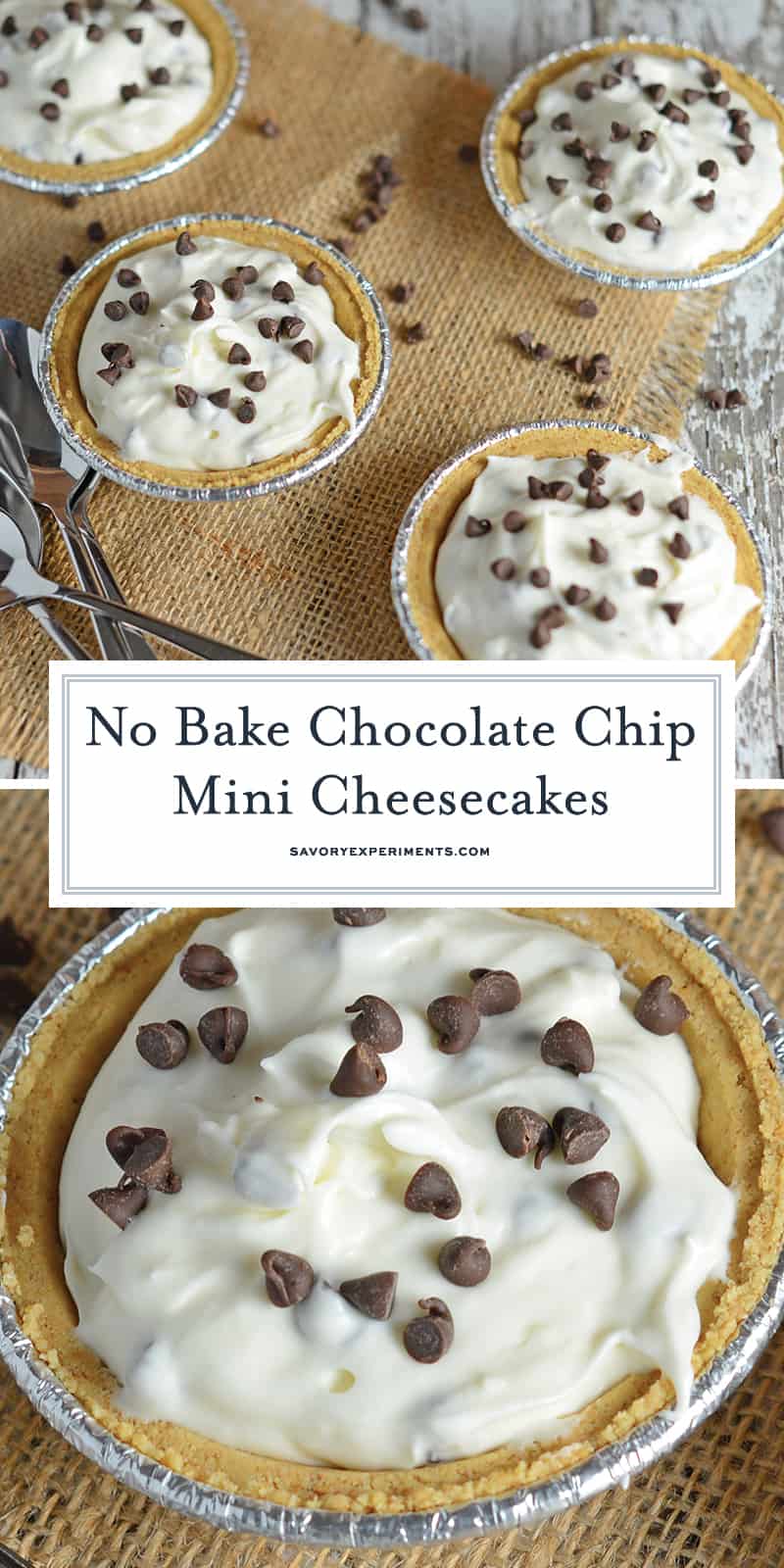 No Bake Chocolate Chip Mini Cheesecakes Recipe is an easy summer time no bake cheesecake recipe. Only takes 10 minutes to make and everyone will enjoy them! #minicheesecakerecipe #nobakecheesecakerecipe #chocolatechipcheesecake www.savoryexperiments.com