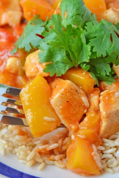 Peach Chicken Picante is a quick dinner recipe using chicken, peaches and salsa! This delicious flavor combination will give you a sweet and spicy dish! #chickenbreastrecipes #easychickenrecipes #healthychickenrecipes www.savoryexperiments.com