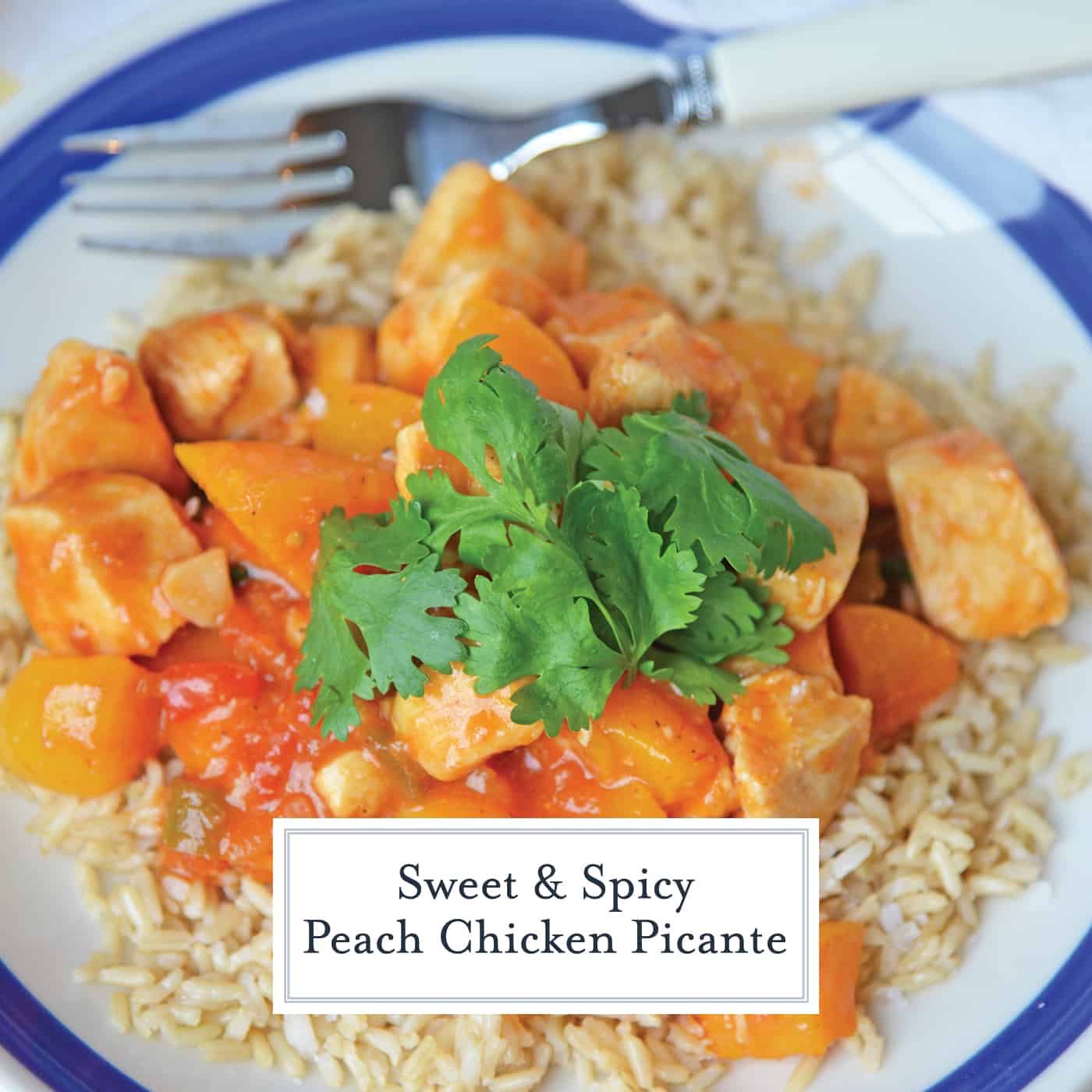 Peach Chicken Picante is a quick dinner recipe using chicken, peaches and salsa! This delicious flavor combination will give you a sweet and spicy dish! #chickenbreastrecipes #easychickenrecipes #healthychickenrecipes www.savoryexperiments.com