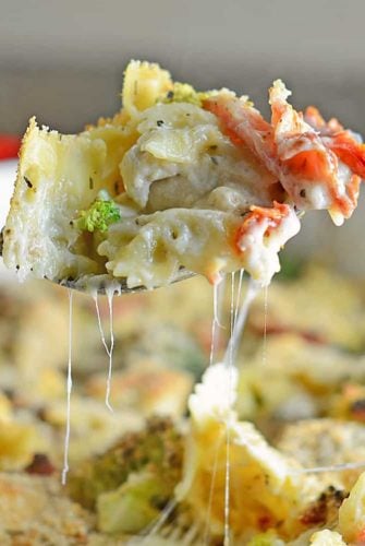 Cheesy Chicken Casserole is an easy casserole recipe perfect for feeding a large family on a budget. Chicken, cheese, pasta and vegetables- delicious! #easycasserolerecipes #bestchickenrecipes www.savoryexperiments.com