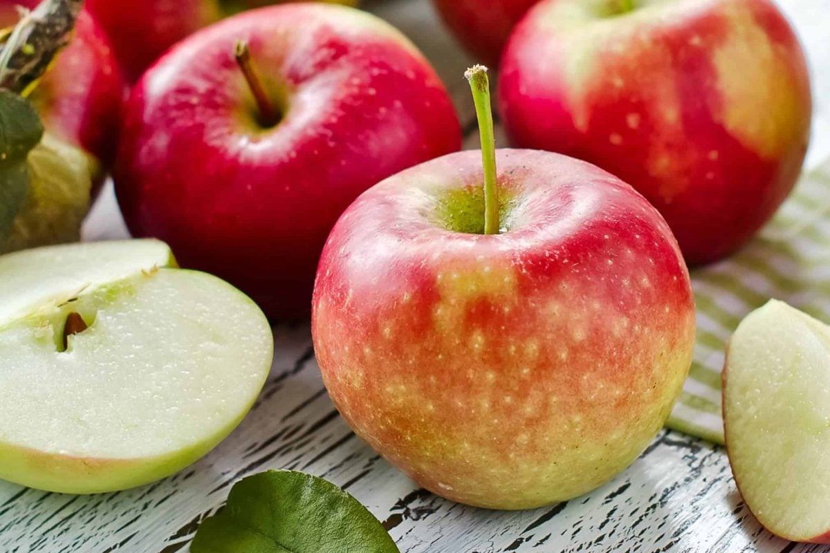 close up of a red apple with cut apples around 