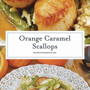 Orange Caramel Scallops are an easy recipe that brings the feel of the restaurant right to your home! Scallops covered in a sticky, sweet orange caramel sauce! #scallopsrecipe #seascallopsversusbayscallops www.savoryexperiments.com