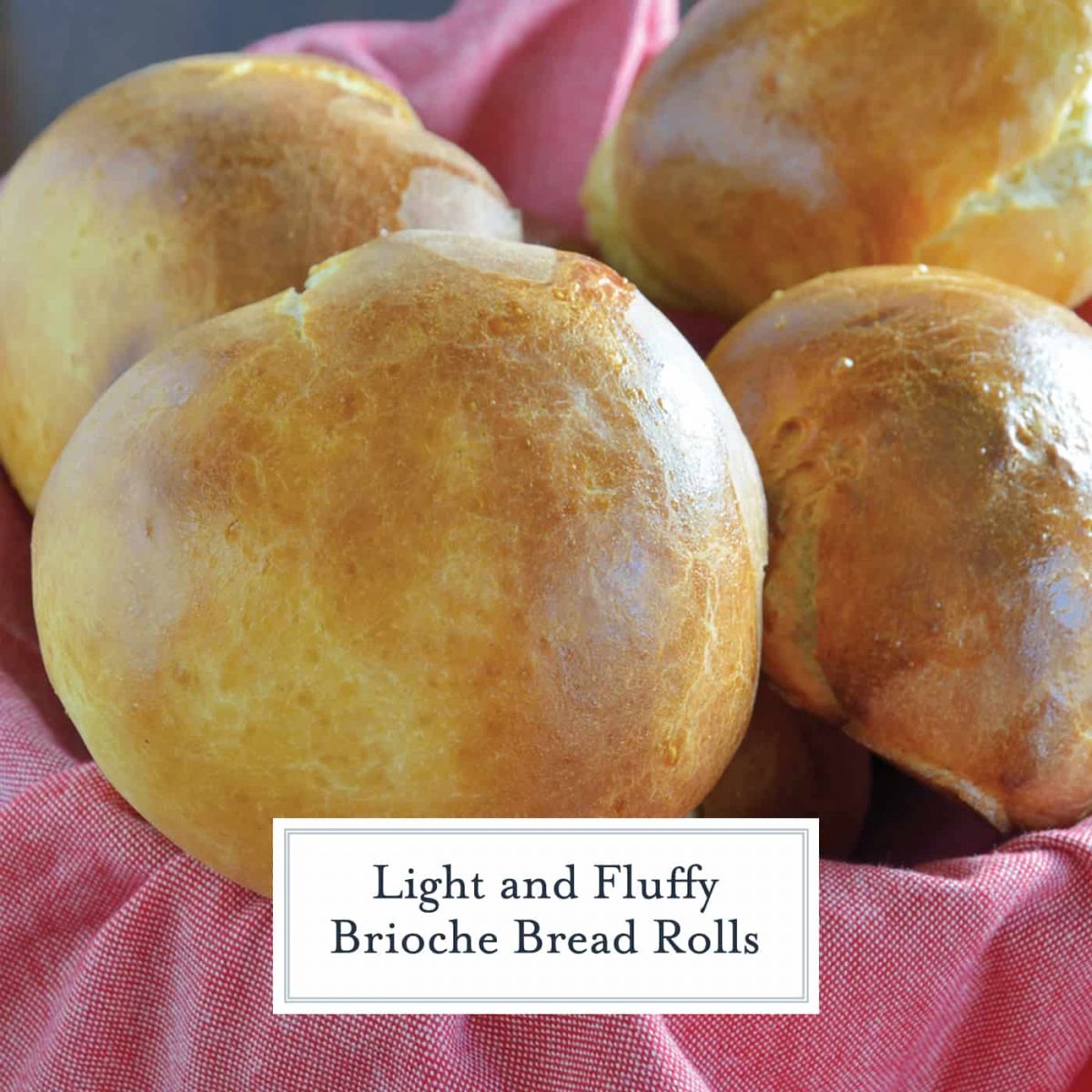 Brioche Bread Rolls A Delicious Buttery Brioche Roll