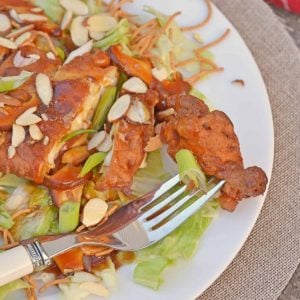 Chinese Almond Chicken close up