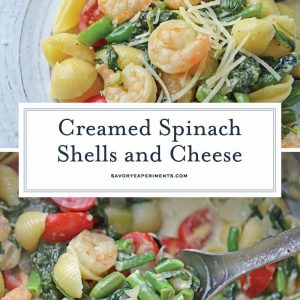 Creamed Spinach Shells and Cheese for Pinterest