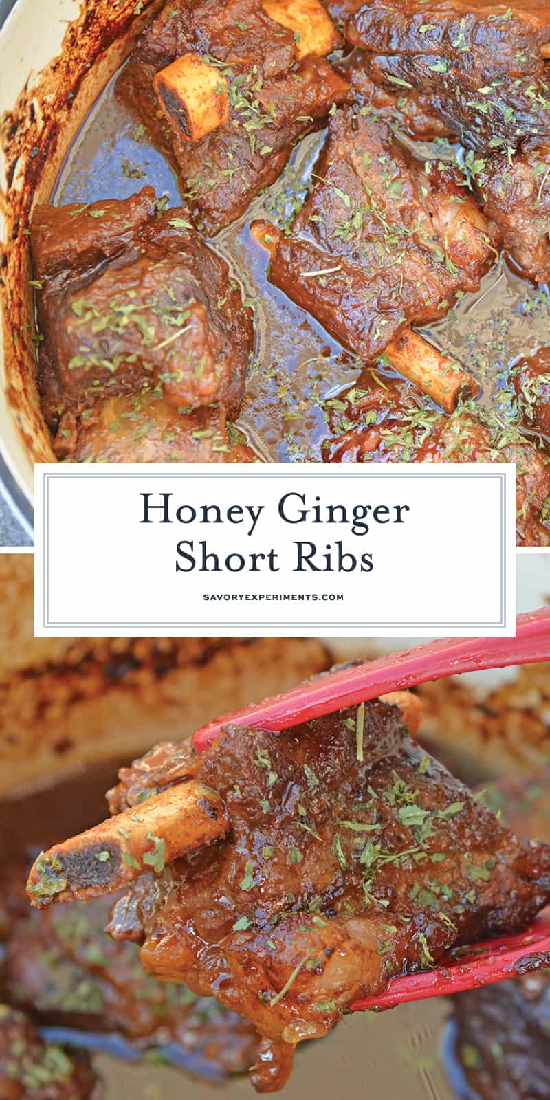 Honey Ginger Short Ribs are a zesty and sweet braised short rib recipe using traditional Asian spices. An easy recipe for fall-off-the-bone ribs. #braisedshortribs #shortribrecipe www.savoryexperiments.com