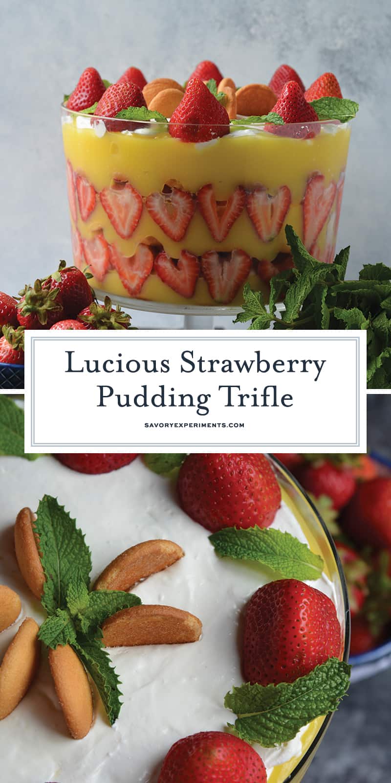 Strawberry Pudding Trifle dessert is just like classic banana pudding, but with strawberries. Layers of wafer, pudding, strawberry and cream cheese whipped cream make this easy dessert recipe a winner! #strawberrypuddingtrifle #trifledessert www.savoryexperiments.com