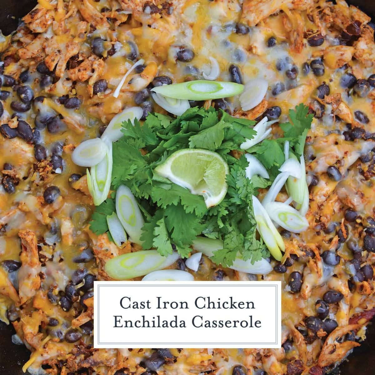 This Chicken Enchilada Casserole Recipe is a delicious casserole recipe loaded with a cornbread crust, chicken, beans, and cheese, all made in a cast iron skillet! #chickenenchiladacasserole #castironskilletrecipes www.savoryexperiments.com