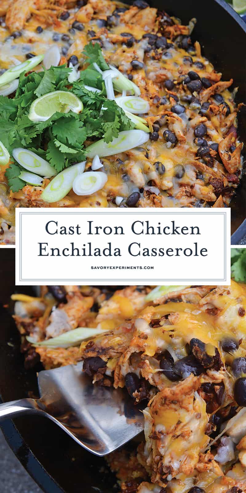 This Chicken Enchilada Casserole Recipe is a delicious casserole recipe loaded with a cornbread crust, chicken, beans, and cheese, all made in a cast iron skillet! #chickenenchiladacasserole #castironskilletrecipes www.savoryexperiments.com