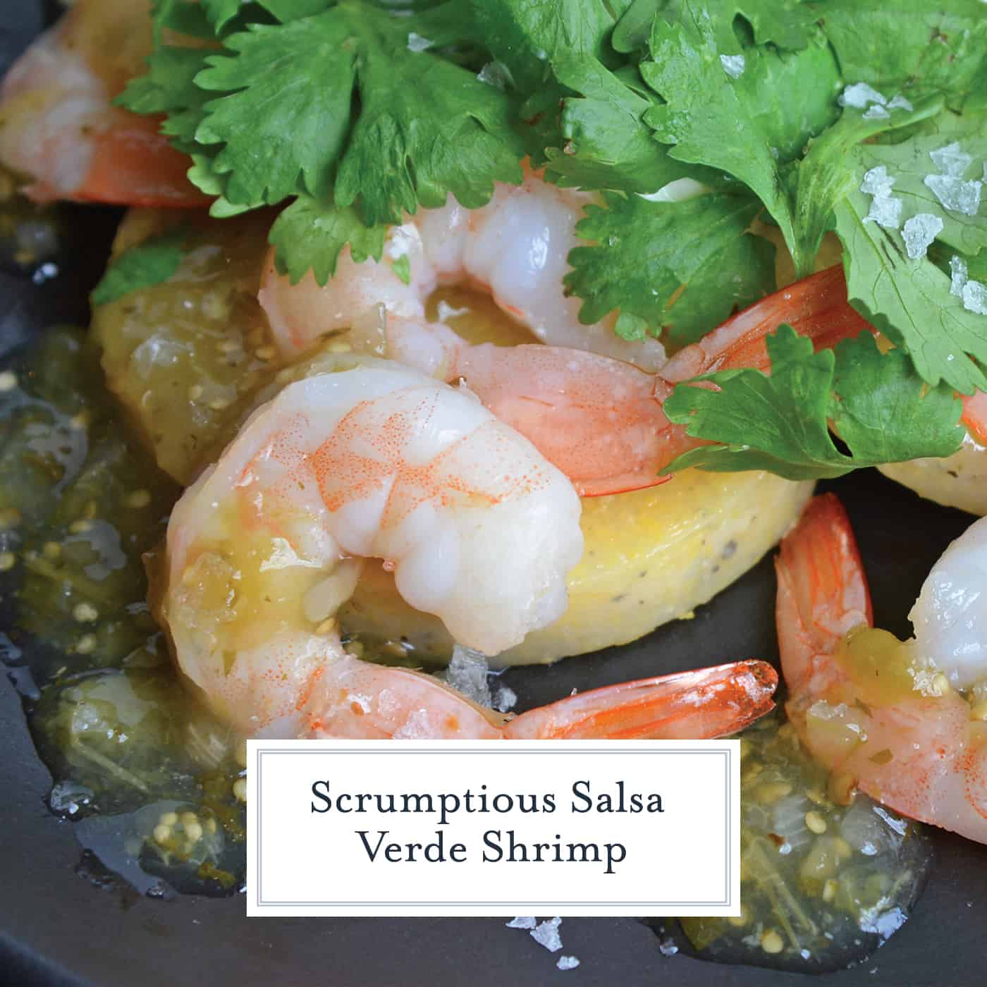 This Salsa Verde Shrimp recipe is a delicious meal or appetizer using fresh lime, tomatillos, jalapenos and spices. Easy to make and delicious to eat. #easyshrimprecipes #shrimpdinnerrecipes www.savoryexperiments.com