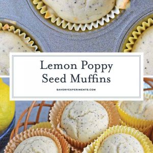 Lemon Poppy Seed Muffins are a quick and easy muffin recipe that can be made in 30 minutes. Carbonated lemon water is the secret ingredient to make them super fluffy! #lemonmuffins #lemonpoppyseedmuffinsrecipe www.savoryexperiments.com