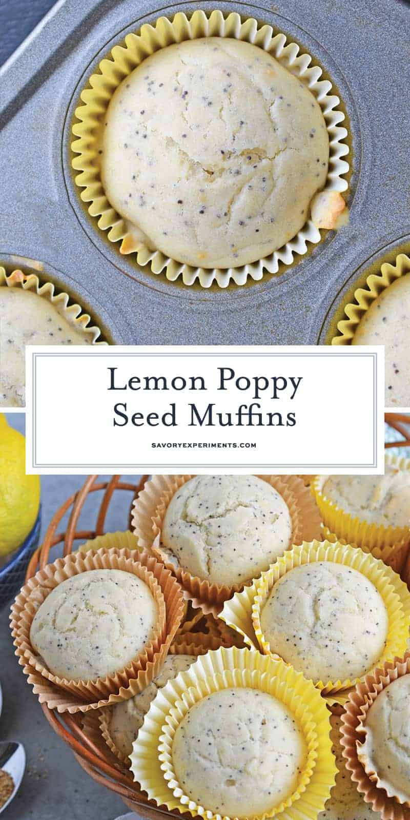 Lemon Poppy Seed Muffins are a quick and easy muffin recipe that can be made in 30 minutes. Carbonated lemon water is the secret ingredient to make them super fluffy! #lemonmuffins #lemonpoppyseedmuffinsrecipe www.savoryexperiments.com