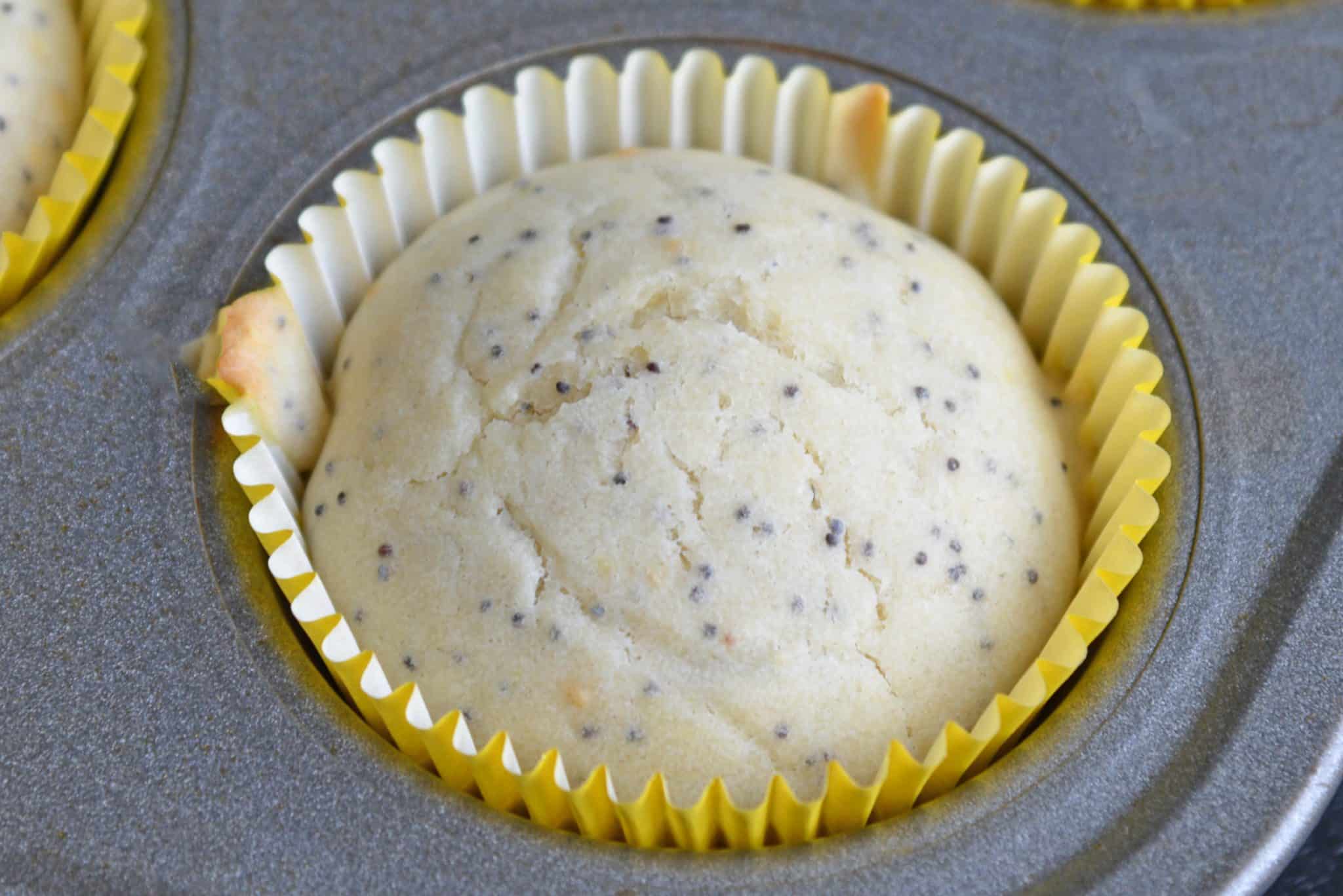 Lemon Poppy Seed Muffins are a quick and easy muffin recipe that can be made in 30 minutes. Carbonated lemon water is the secret ingredient to make them super fluffy! #lemonmuffins #lemonpoppyseedmuffinsrecipe www.savoryexperiments.com