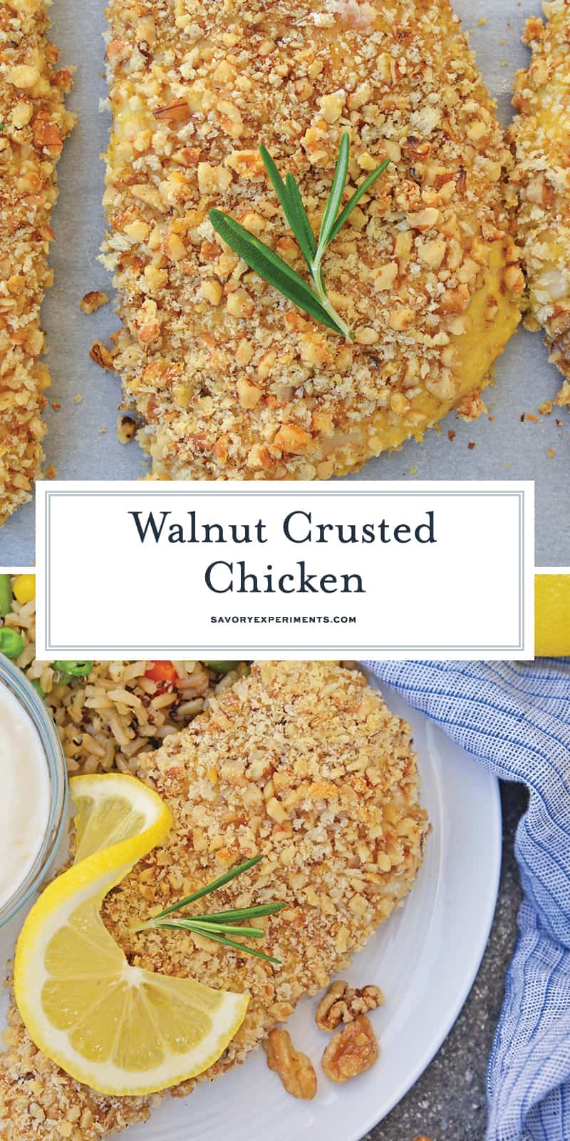 Walnut Crusted Chicken is a deliciously healthy, crunchy chicken with a cool dipping sauce! Made with chopped walnuts, panko bread crumbs, and fresh rosemary! #walnutcrustedchicken #rosemarychicken www.savoryexperiments.com