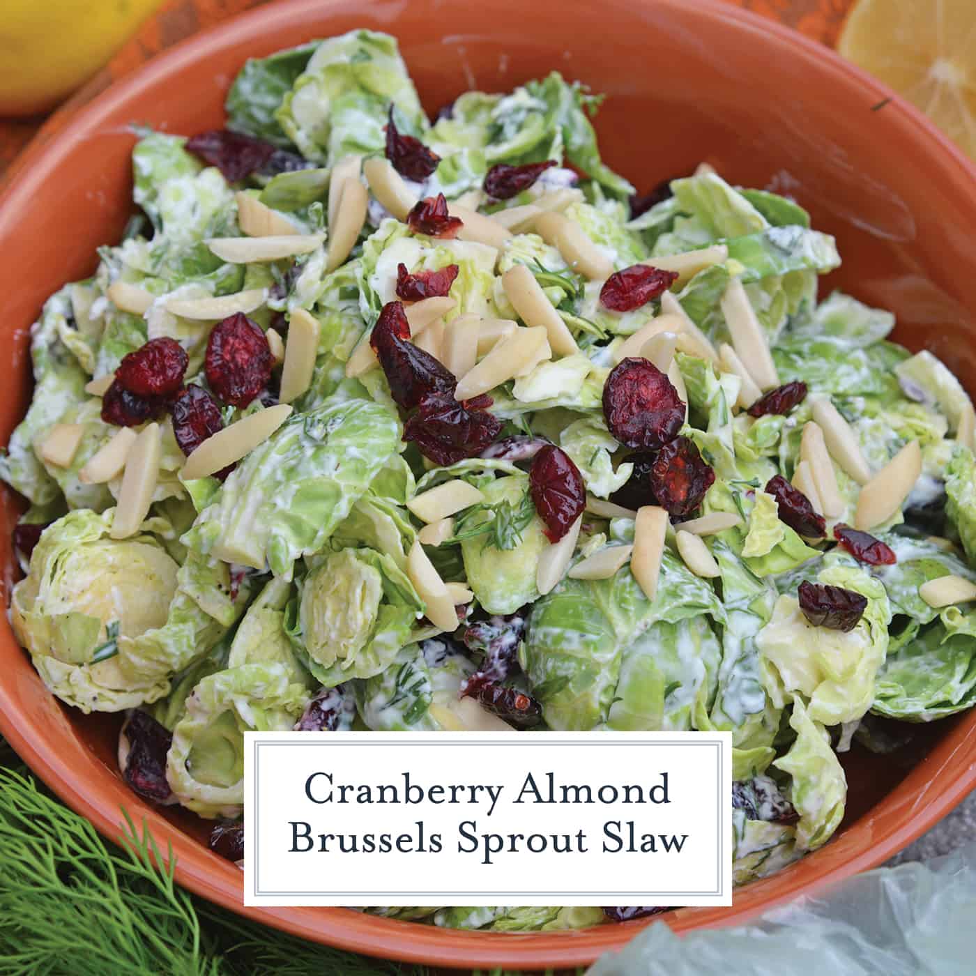 Cranberry Almond Brussel Sprout Slaw is a healthy and delicious way to eat raw brussels sprouts. Mixed with yogurt, dill, cranberry and almond, it is packed with flavor! #brusselsproutsrecipe #brusselsproutsalad www.savoryexperiments.com