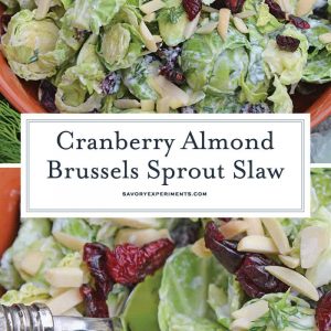 Cranberry Almond Brussel Sprout Slaw is a healthy and delicious way to eat raw brussels sprouts. Mixed with yogurt, dill, cranberry and almond, it is packed with flavor! #brusselsproutsrecipe #brusselsproutsalad www.savoryexperiments.com