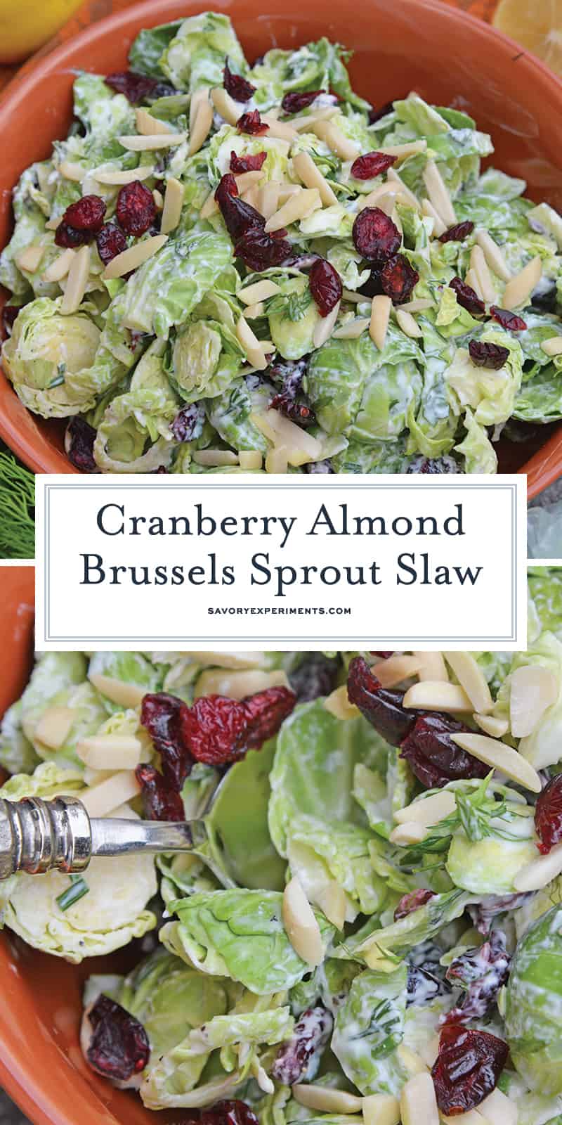 Cranberry Almond Brussel Sprout Slaw is a healthy and delicious way to eat raw brussels sprouts. Mixed with yogurt, dill, cranberry and almond, it is packed with flavor! #brusselsproutsrecipe #brusselsproutsalad www.savoryexperiments.com