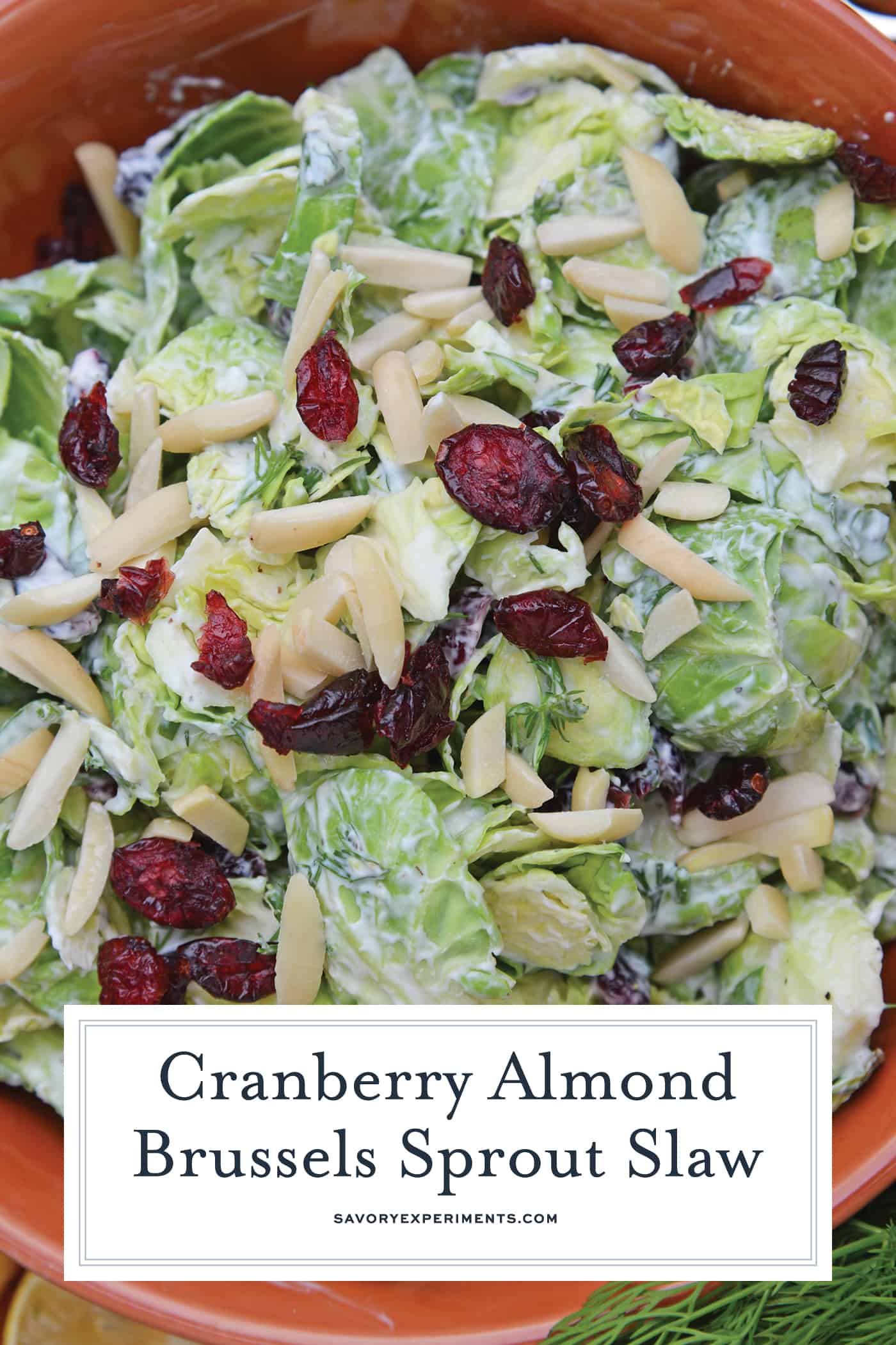Cranberry Almond Brussel Sprout Slaw is a healthy and delicious way to eat raw brussels sprouts. Mixed with yogurt, dill, cranberry and almond, it is packed with flavor! #brusselsproutsrecipe #brusselsproutsalad www.savoryexperiments.com