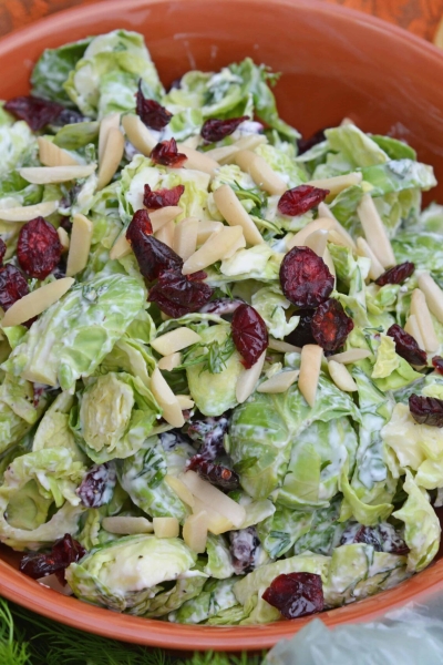 Cranberry Almond Brussel Sprout Slaw is a healthy and delicious way to eat raw brussels sprouts. Mixed with yogurt, dill, cranberry and almond, it is packed with flavor! #brusselsproutsrecipe #brusselsproutsalad www.savoryexperiments.com