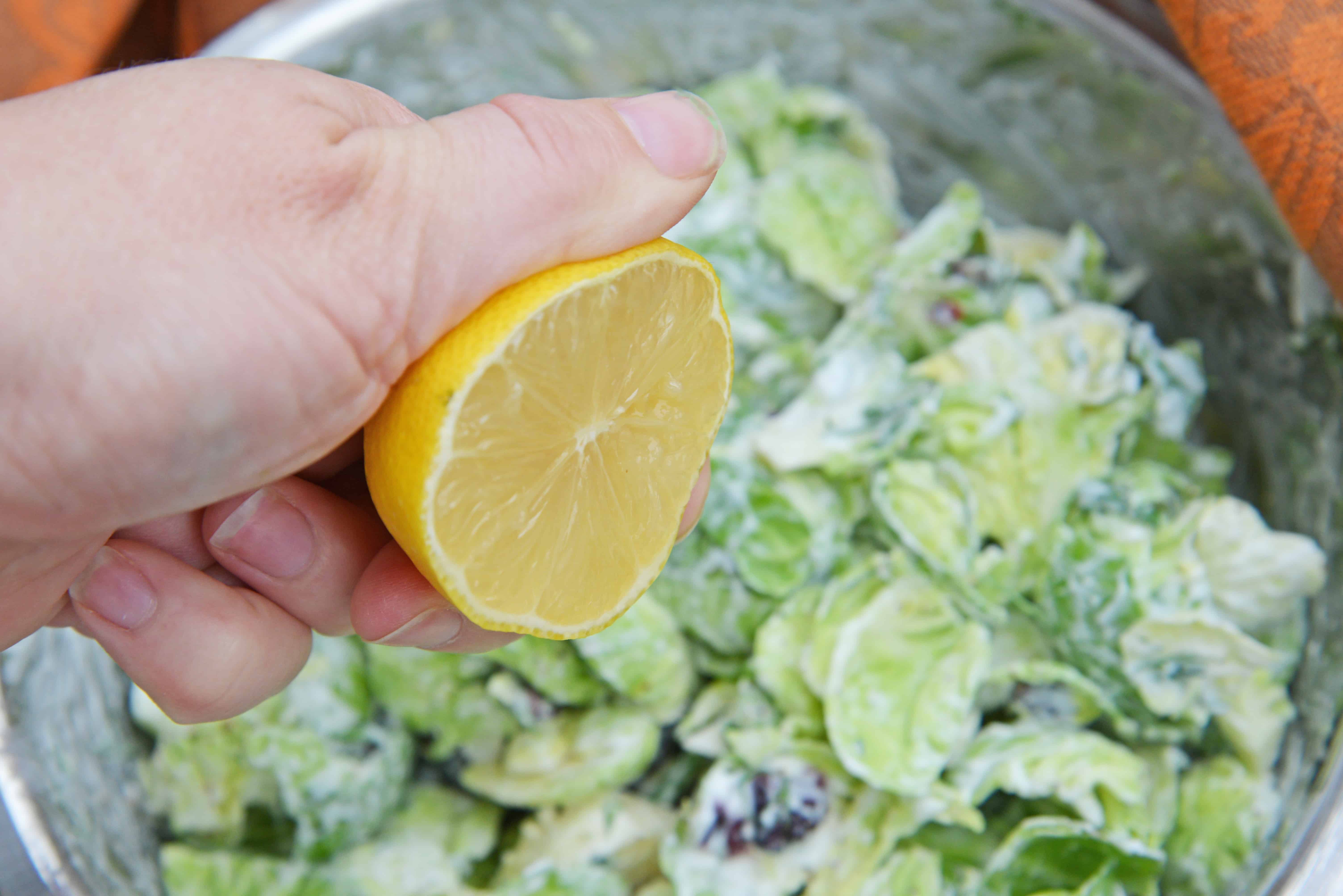 Cranberry Almond Brussel Sprout Slaw is a healthy and delicious way to eat raw brussels sprouts. Mixed with yogurt, dill, cranberry and almond, it is packed with flavor! #brusselsproutsrecipe #brusselsproutsalad www.savoryexperiments.com