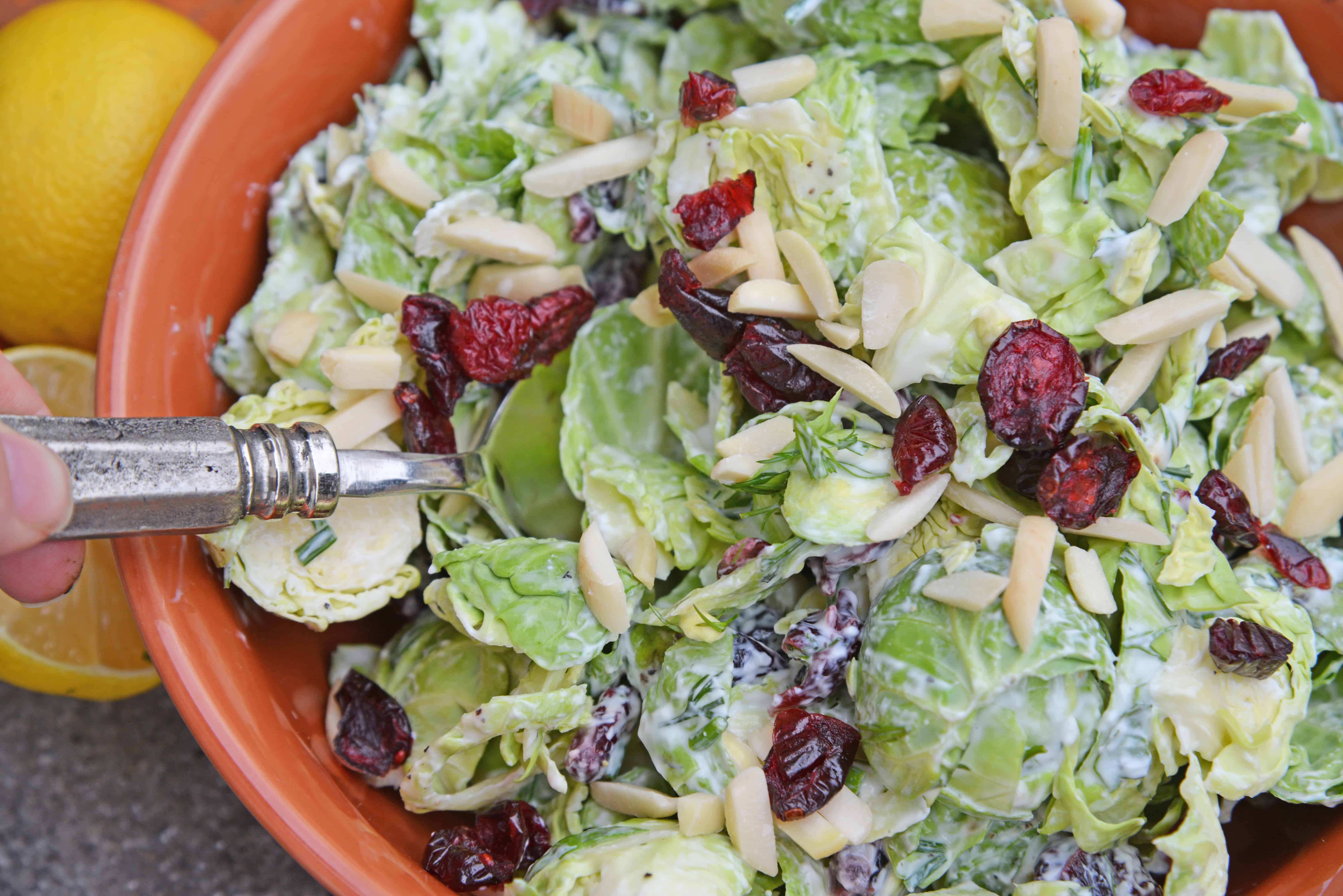 Cranberry Almond Brussel Sprout Slaw is a healthy and delicious way to eat raw brussels sprouts. Mixed with yogurt, dill, cranberry and almond, it is packed with flavor! #brusselsproutsrecipe #brusselsproutsalad www.savoryexperiments.com