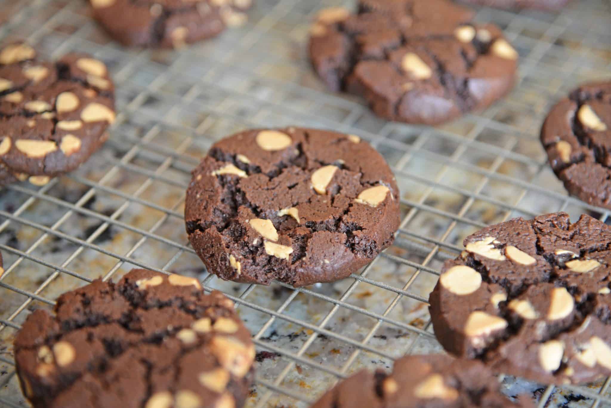 These Chocolate Peanut Butter Cookie Sandwiches are quite possibly the best cookie sandwich you will ever eat. Highly addictive: bake with caution! #chocolatepeanutbuttersandwichcookies #sandwichcookies #peanutbutter www.savoryexperiments.com