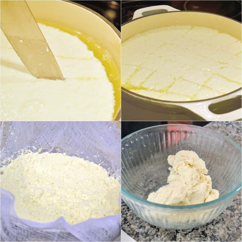 Fresh Mozzarella Cheese Recipe How to Make Mozzarella Cheese