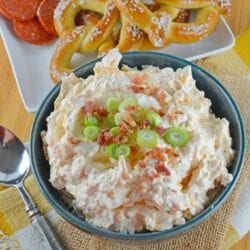 Beer Cheese Dip is an easy, spreadable, zesty pub cheese great for serving with soft pretzels, crackers, carrots, celery sticks or chips! #beercheesedip #beercheesepretzeldip www.savoryexperiments.com