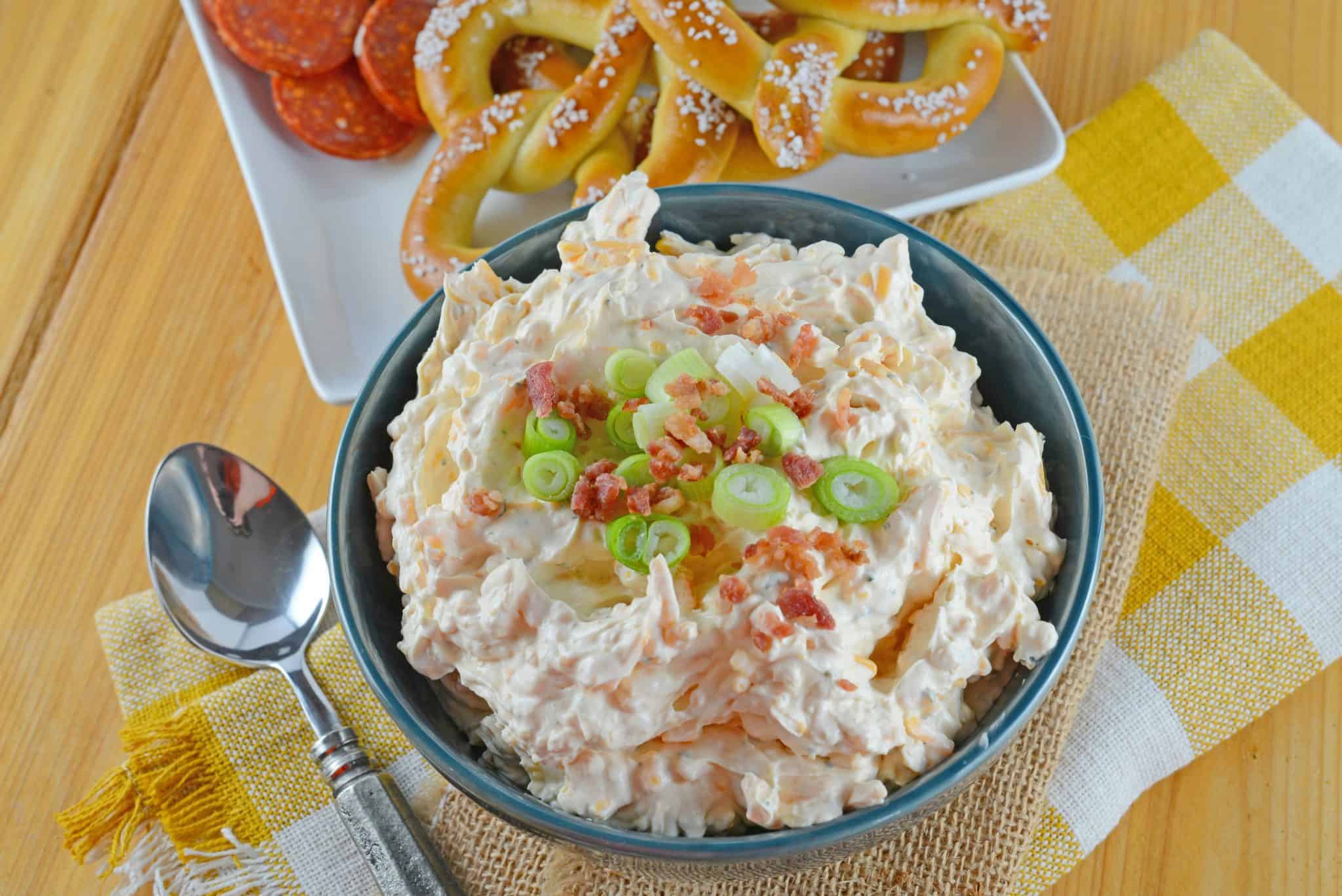 Beer Cheese Dip is an easy, spreadable, zesty pub cheese great for serving with soft pretzels, crackers, carrots, celery sticks or chips! #beercheesedip #beercheesepretzeldip www.savoryexperiments.com