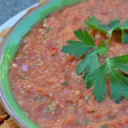 This easy Homemade Salsa recipe is ready in just 3 minutes using a blender. A blend of tomatoes, jalapenos, garlic, onion, cilantro and green chile. #homemadesalsarecipe #salsa www.savoryexperiments.com