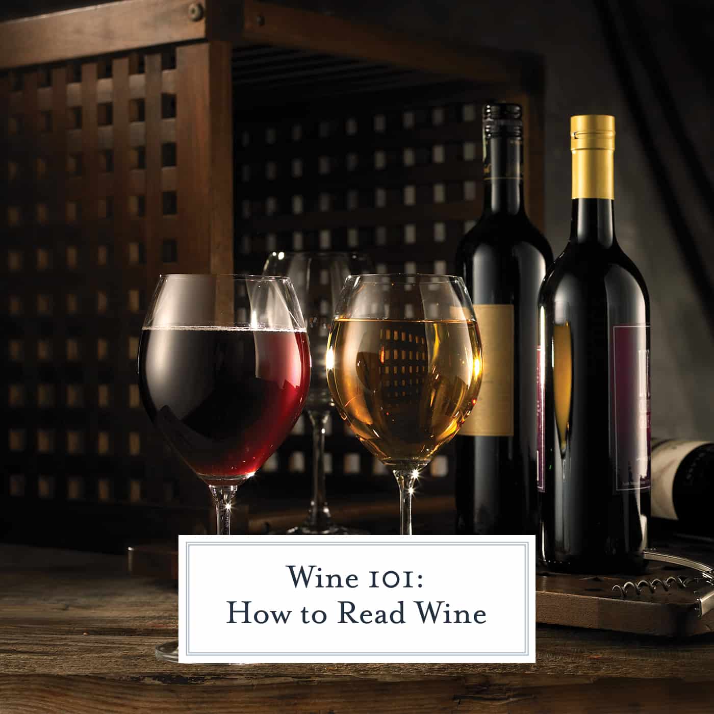 Learn how to read wine and execute a few party tricks to make you sound like a wine expert (even if you don't know much)! #howtoreadwine www.savoryexperiments.com