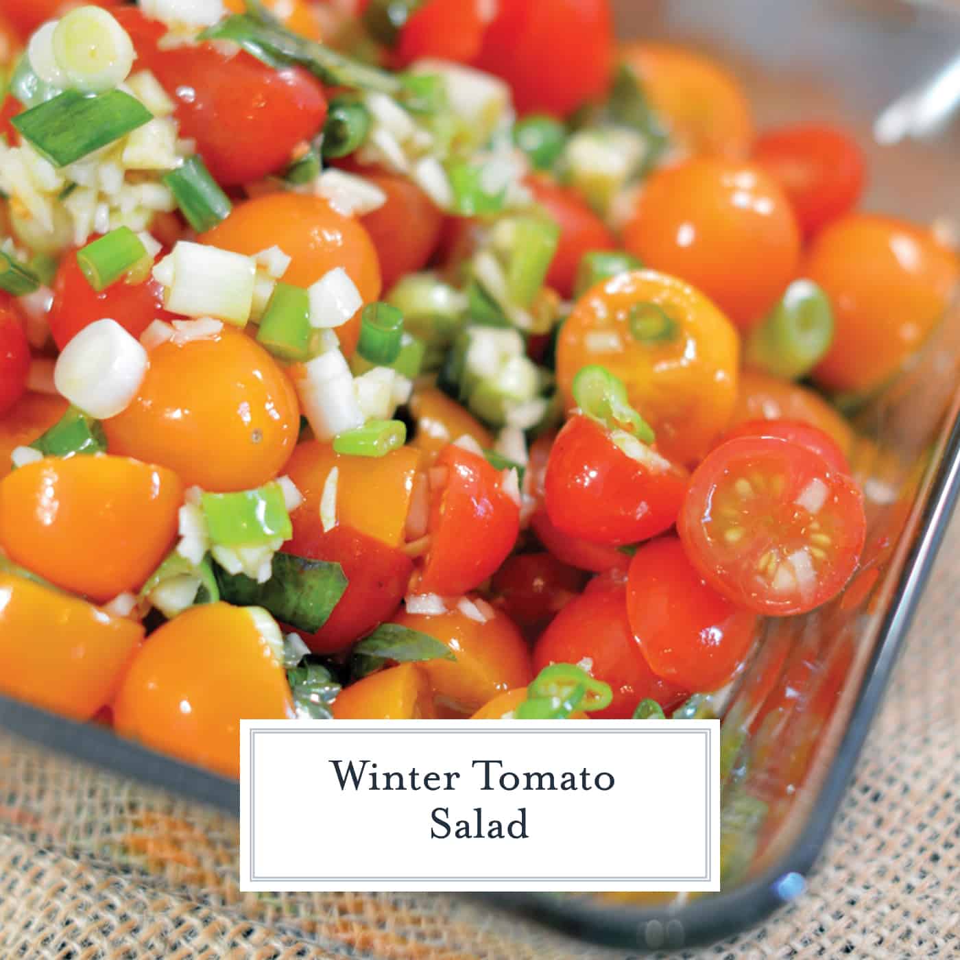 Winter Tomato Salad uses multi-colored cherry tomatoes, lots of garlic, good olive oil and basil to make a tasty side dish recipe perfect for the winter months. #tomatosalad #tomatosidedishes www.savoryexperiments.com 