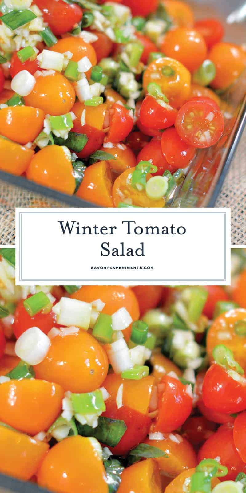 Winter Tomato Salad uses multi-colored cherry tomatoes, lots of garlic, good olive oil and basil to make a tasty side dish recipe perfect for the winter months. #tomatosalad #tomatosidedishes www.savoryexperiments.com 