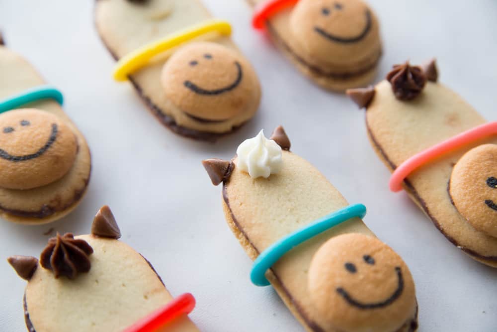 Different Types Of Horse Cookies