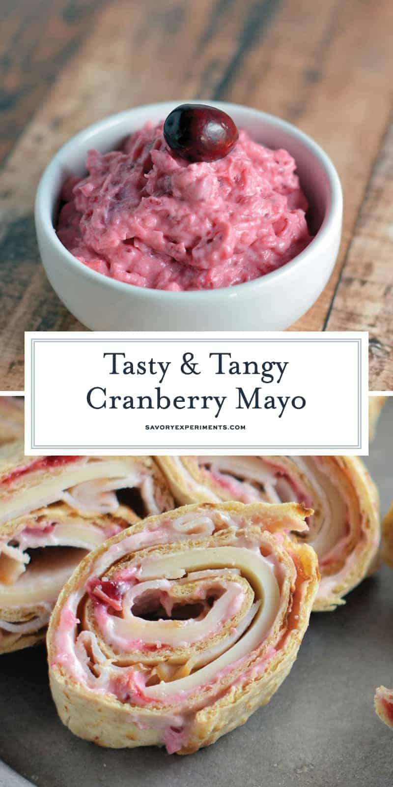 If you like mayonnaise, you will LOVE my Cranberry Mayo. Slightly sweet and just a touch tart, it adds a new dimension to any sandwich. #cranberrymayo #cranberrysauce #cranberryrelish www.savoryexperiments.com