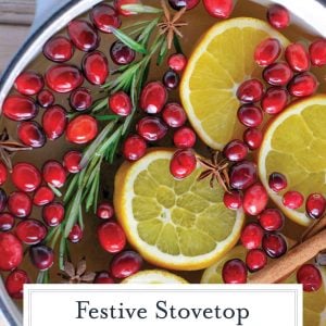 close up of a simmer pot for the holidays