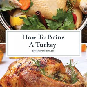 How to Brine a Turkey- a step-by-step guide for brining turkey, tips for a better turkey, how to brown turkey skin and a recipe for juicy turkey. #turkeybrinerecipe #thanksgivingturkeyrecipe www.savoryexperiments.com