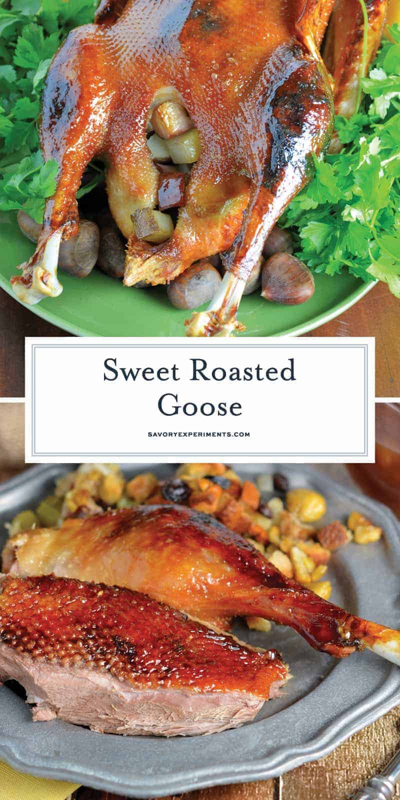 Sweet Roasted Goose is a tried and true recipe for a succulent goose with crispy skin and tender meat seasoned with apple, orange and potato stuffing. Top with Cumberland Sauce. #howtocookgoose #roastgoose www.savoryexperiments.com