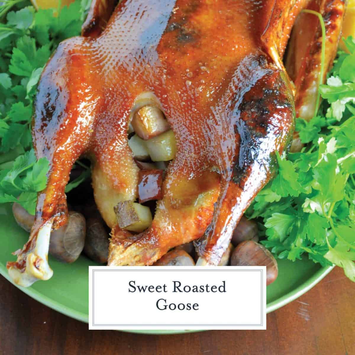 Sweet Roasted Goose is a tried and true recipe for a succulent goose with crispy skin and tender meat seasoned with apple, orange and potato stuffing. Top with Cumberland Sauce. #howtocookgoose #roastgoose www.savoryexperiments.com