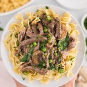 close up of beef stroganoff over wide egg noodles
