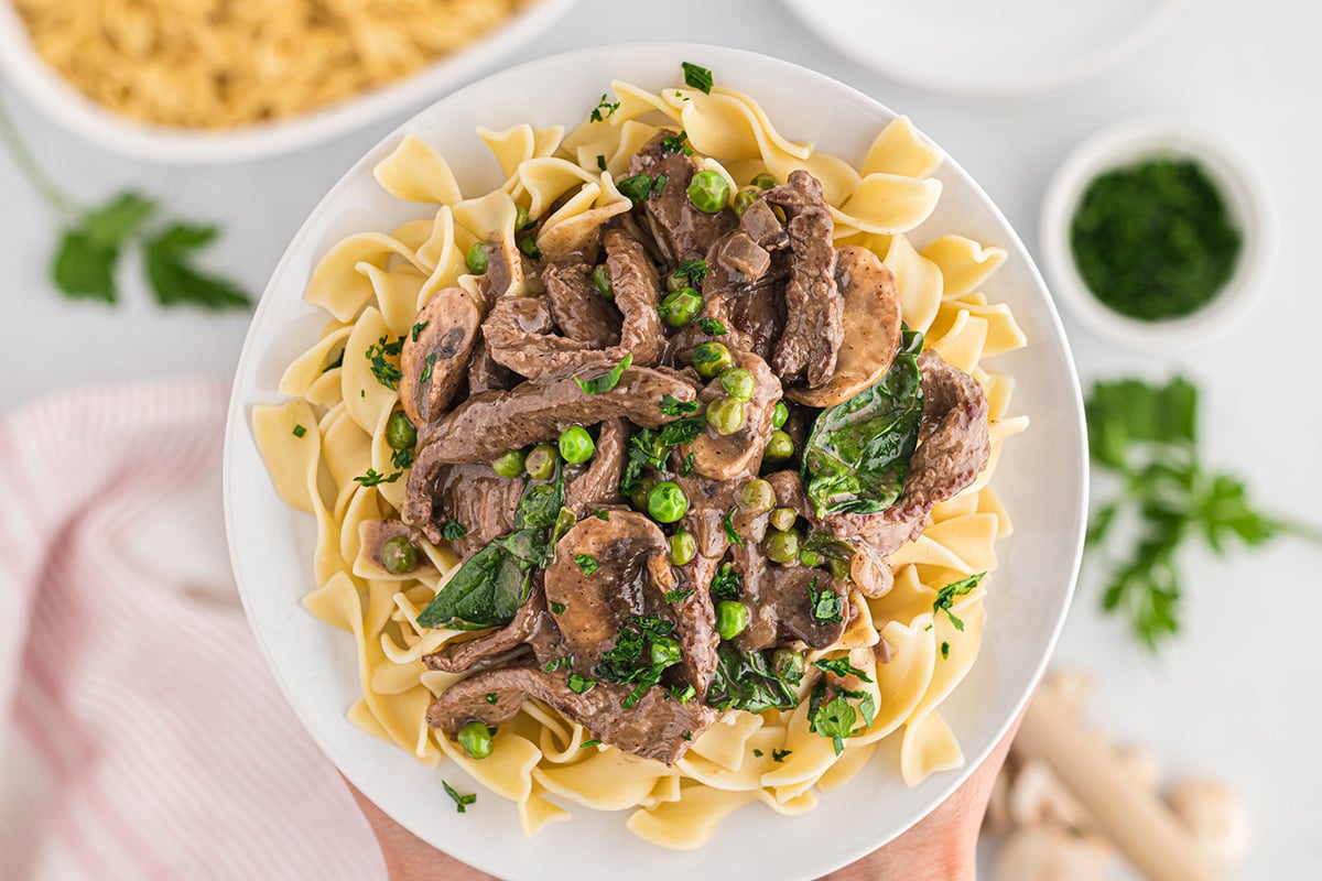 close up of beef stroganoff over wide egg noodles