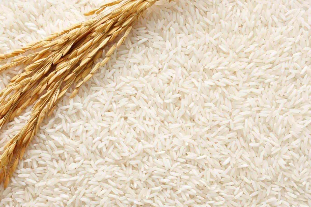 picture of dry raw white rice 