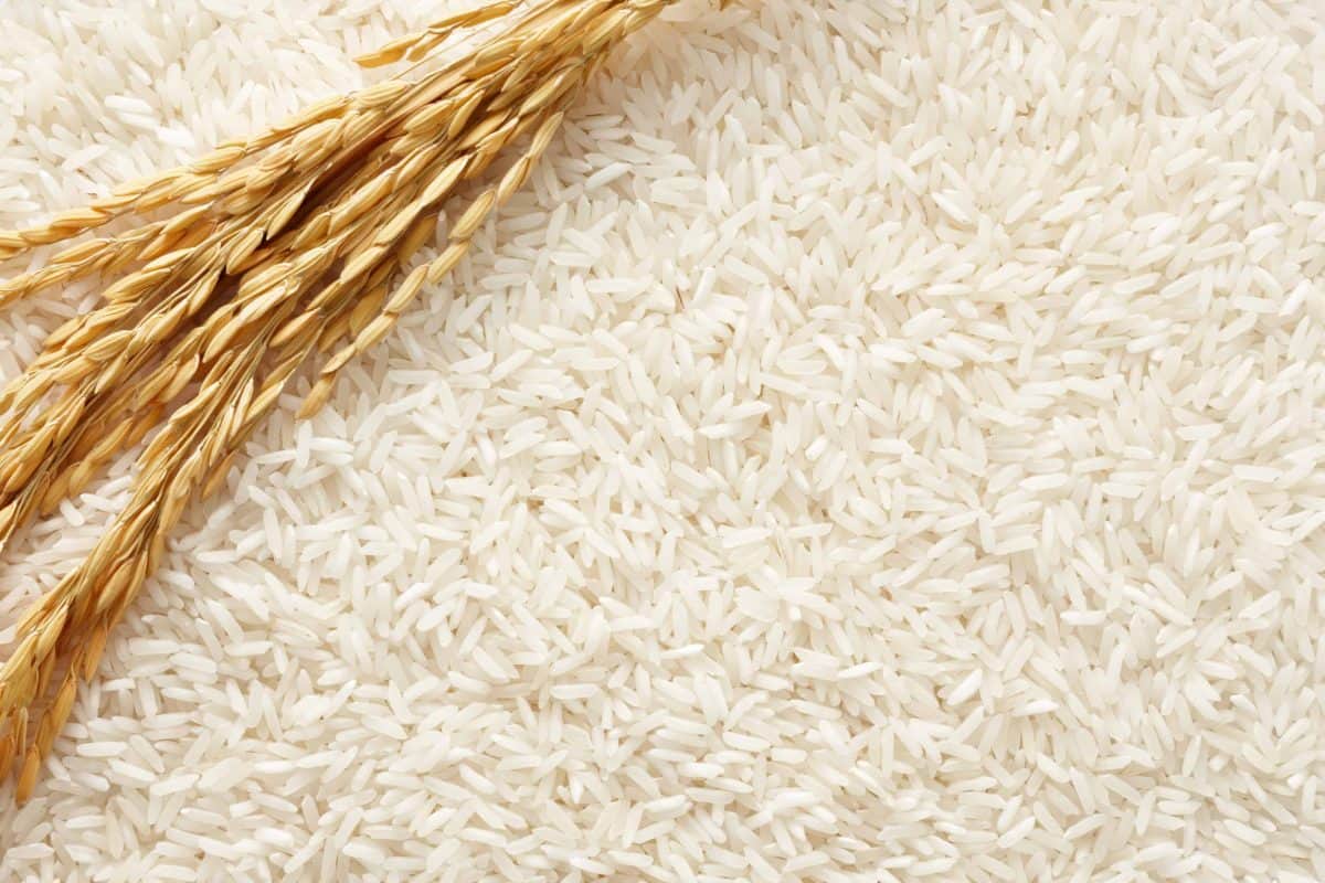 Looking for perfect rice? Here are 5+ tips that can be applied to any rice recipe for perfectly plump rice! #howtomakerice #cookingrice www.savoryexperiments.com