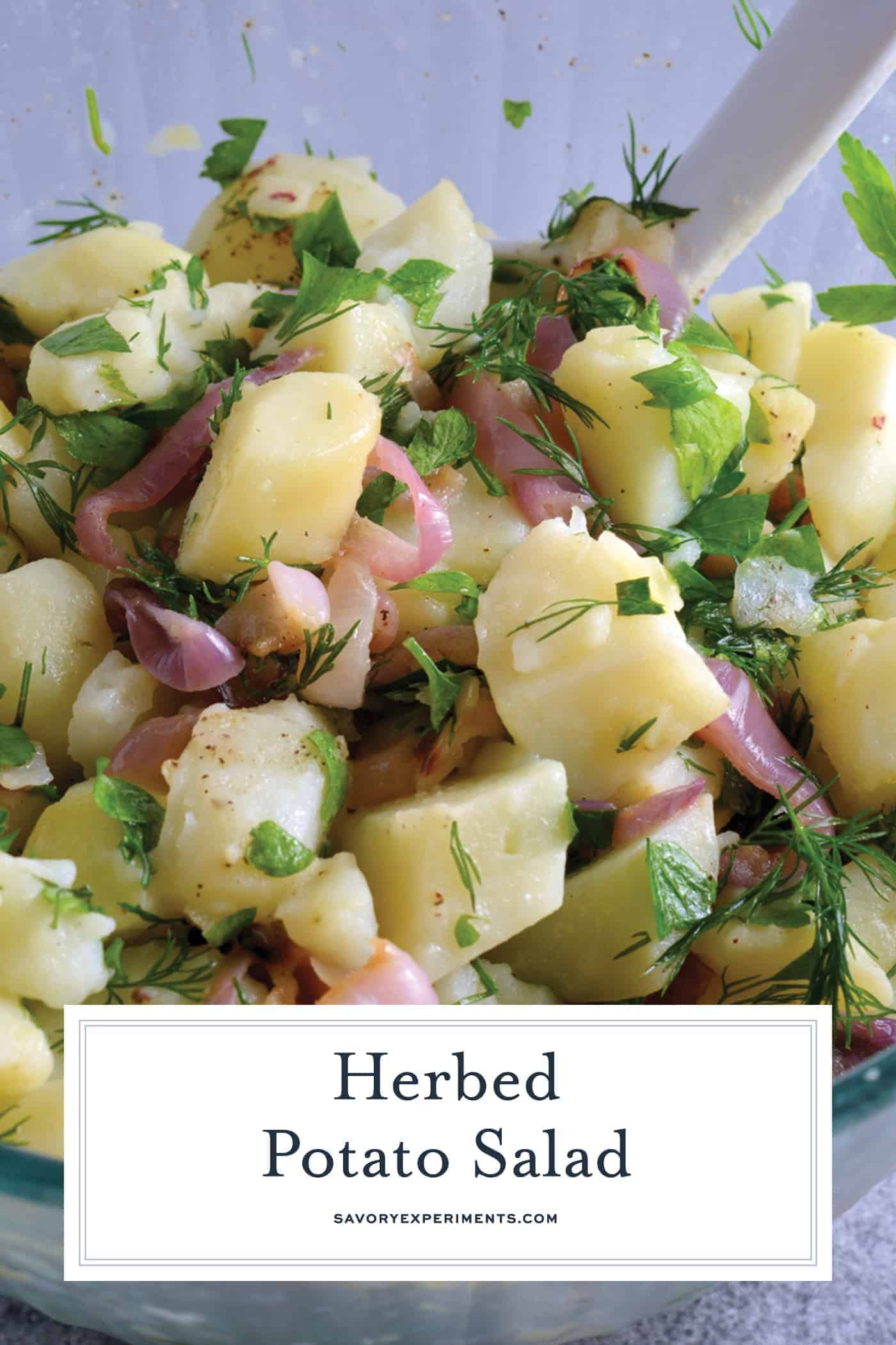 Herbed Potato Salad is mayo-free potato salad recipe that uses fresh herbs and mild white wine vinegar to add tangy flavor. Served chilled at your summer gathering! #nomayopotatosalad #potatosaladrecipe www.savoryexperiments.com