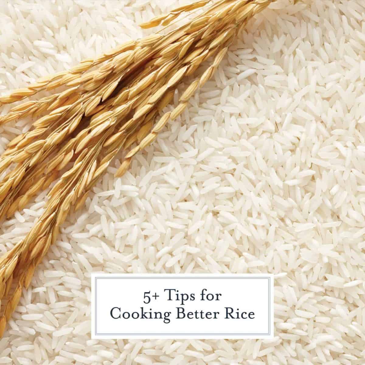 Tips for Perfect Rice Every Time How to Cook Rice