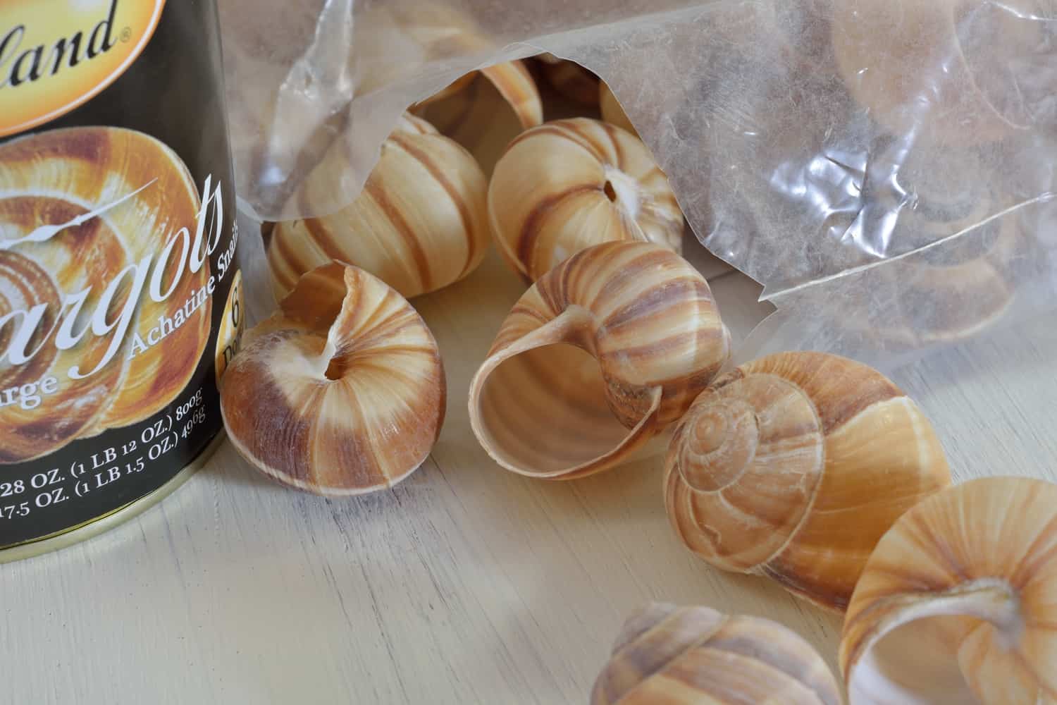 Escargot Shells