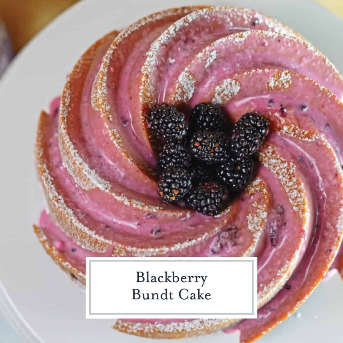 Blackberry Bundt Cake Savory Experiments
